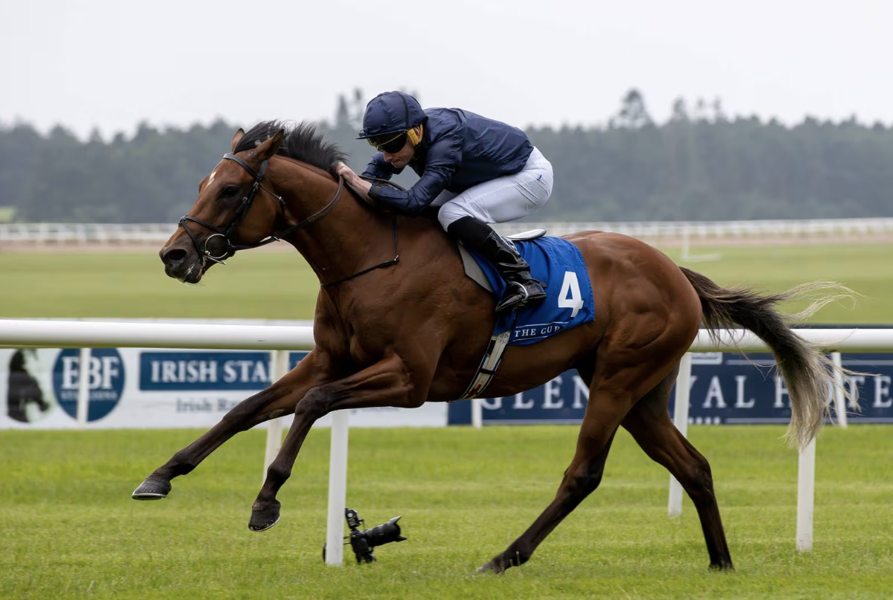 City of Troy Tops the Field for Betfred Derby